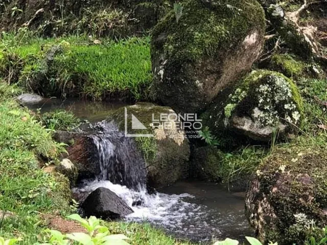 Imagem 5: Sítio À Venda em Benedito Novo/Sc