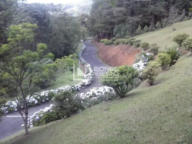 Imagem 7: Sítio À Venda em Benedito Novo/Sc