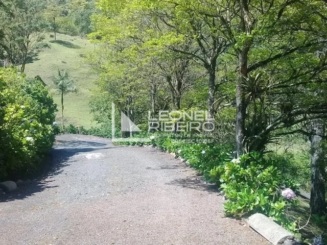 Imagem 11: Sítio À Venda em Benedito Novo/Sc