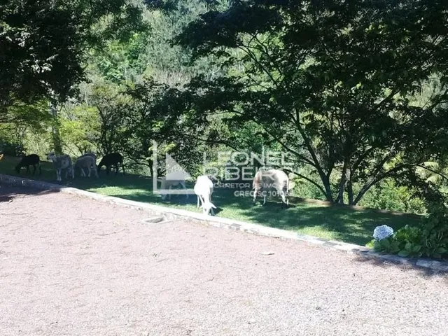 Imagem 9: Sítio À Venda em Benedito Novo/Sc