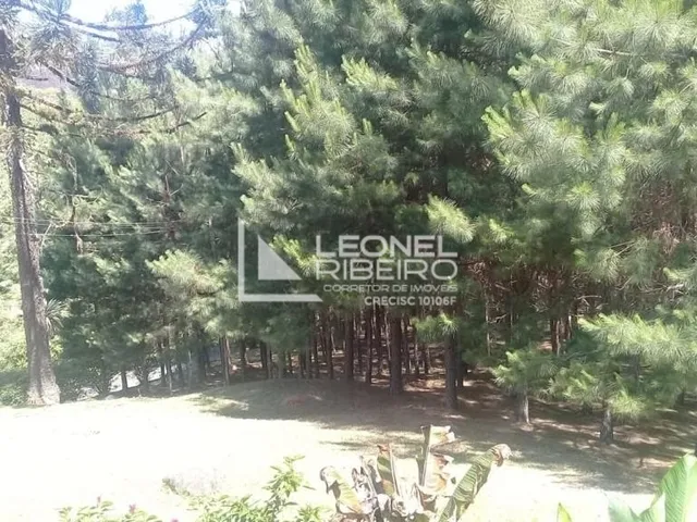 Imagem 8: Sítio À Venda em Benedito Novo/Sc
