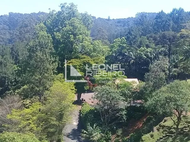 Imagem 12: Sítio À Venda em Benedito Novo/Sc
