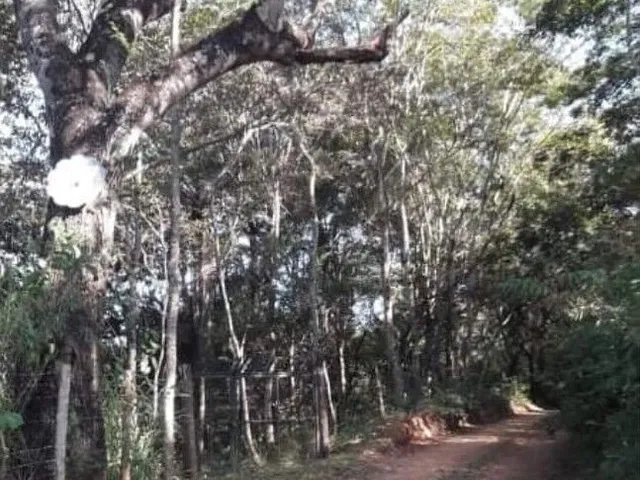Imagem: Terreno À Venda, 1000 M2, R$ 35 Mil, Baldim