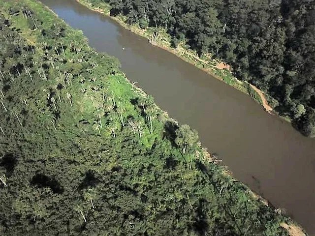 Imagem: Fazendinha À Venda, 20 Mil M2, R$ 301 Mil