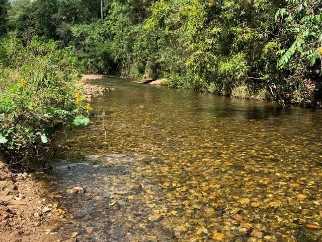 Imagem: Fazendinha de 2 Hectares em Jaboticatubas