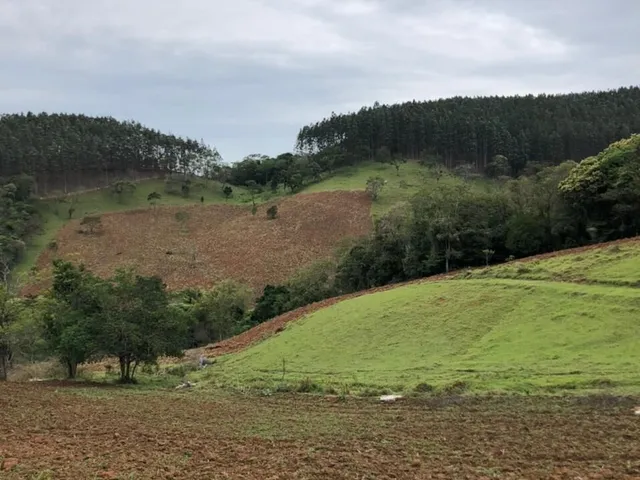 Imagem 9: Fazenda À Venda em Pindamonhangaba/Sp