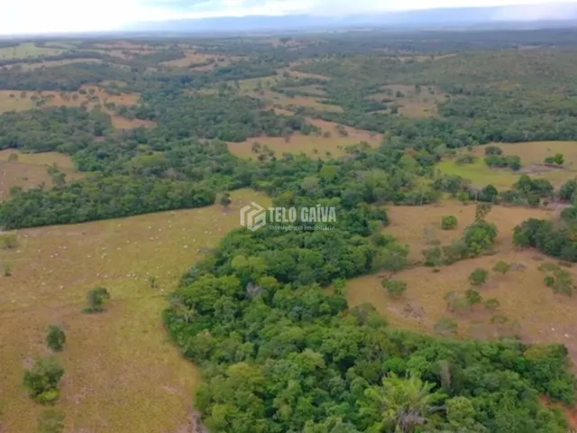 Imagem: Fazenda Chique a 70 Km Próximo de Cuiabá