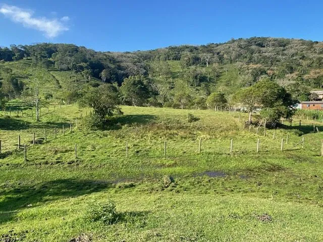 Imagem 4: Área na Ressacada ideal para um belo sítio