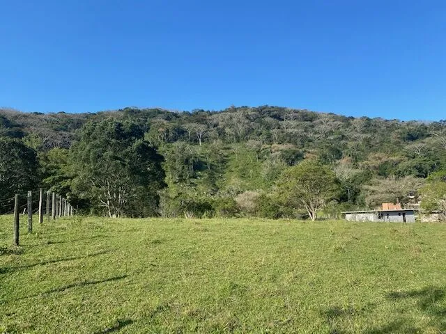 Imagem 15: Área na Ressacada ideal para um belo sítio