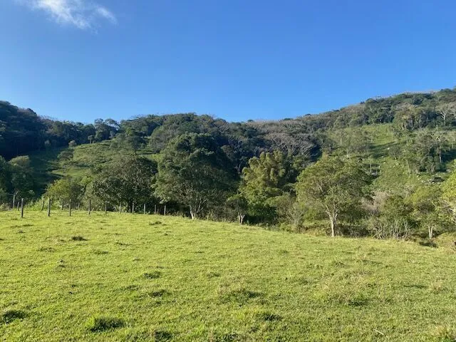 Imagem 8: Área na Ressacada ideal para um belo sítio