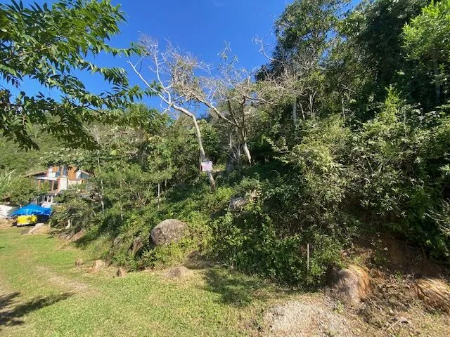 Imagem 8: Terreno em meio a natureza com bela vista do mar