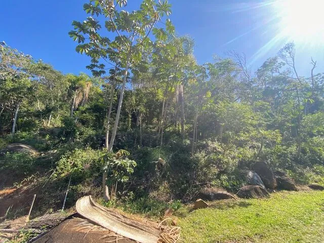 Imagem 3: Terreno em meio a natureza com bela vista do mar