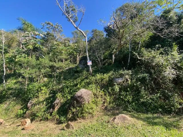 Imagem 5: Terreno em meio a natureza com bela vista do mar