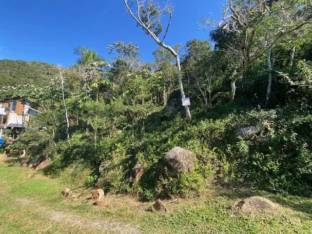 Imagem 7: Terreno em meio a natureza com bela vista do mar