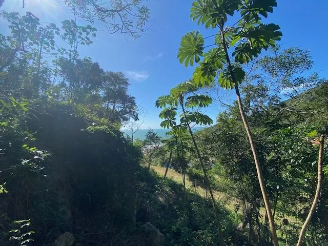 Imagem 2: Terreno em meio a natureza com bela vista do mar