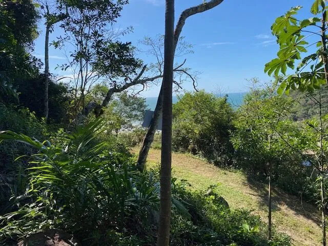 Imagem 6: Terreno em meio a natureza com bela vista do mar