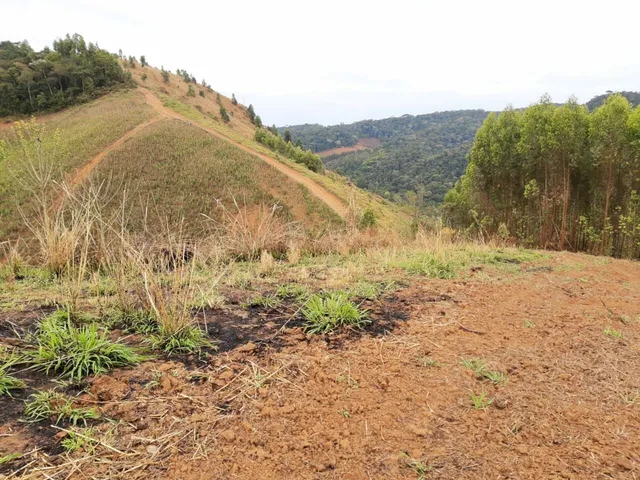 Imagem 4: PEDRA AZUL - Terreno em Pedra Azul de 20 Mil m² Próximo à Rota do Lagarto com vista
