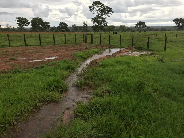 Imagem 1: Fazenda-Para-Venda-Em-Zona-Rural-Barra-Do-Garcas-Mt, 4 Dormitórios, 4 Banheiro