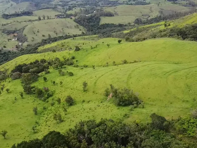 Imagem 12: Fazenda a venda Fazenda / sítio com 3 dormitórios