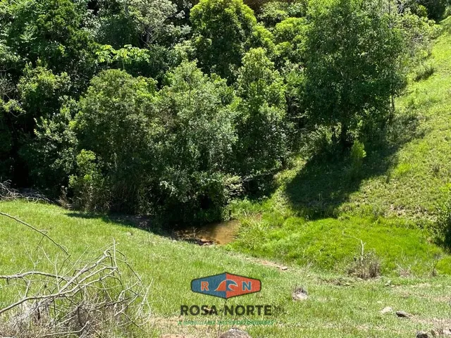 Imagem 6: Sítio com Vista para o Mar e Lagoa 300.000 M2