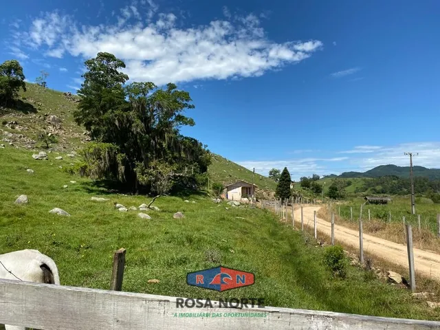 Imagem 8: Sítio com Vista para o Mar e Lagoa 300.000 M2