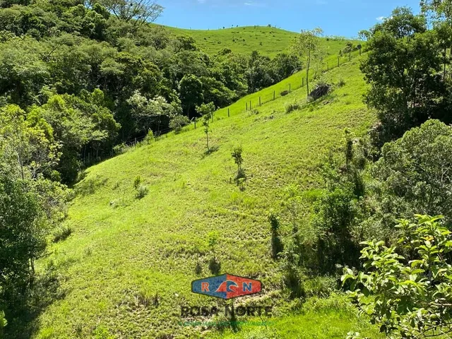 Imagem 7: Sítio com Vista para o Mar e Lagoa 300.000 M2