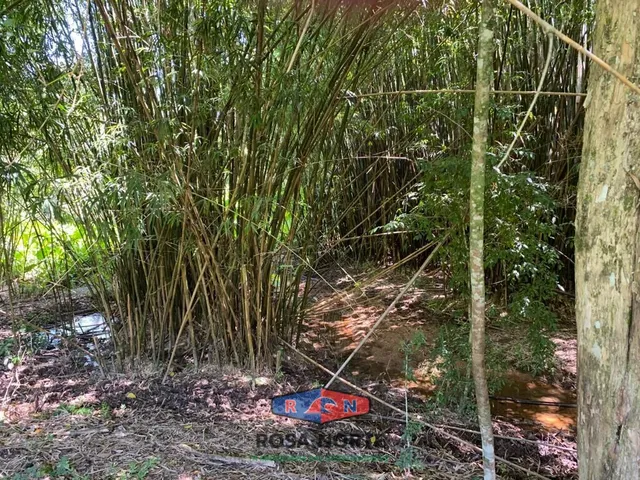 Imagem 9: Sítio com Vista para o Mar e Lagoa 300.000 M2