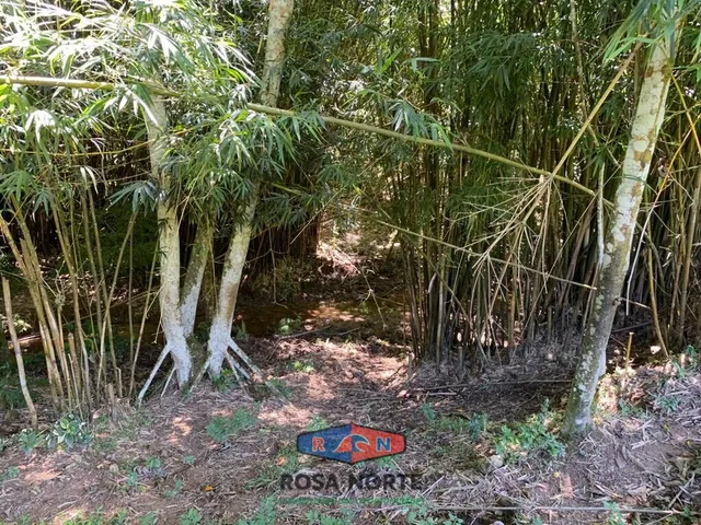 Imagem 4: Sítio com Vista para o Mar e Lagoa 300.000 M2