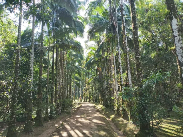 Imagem: Chácara com 306.287 m² apenas 3Km do Centro