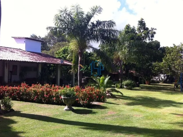 Imagem 8: Chácara/ Fazenda em Macaíba/RN/Chácara a venda