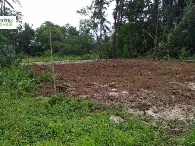 Imagem: Terreno À Venda em Morretes/Pr