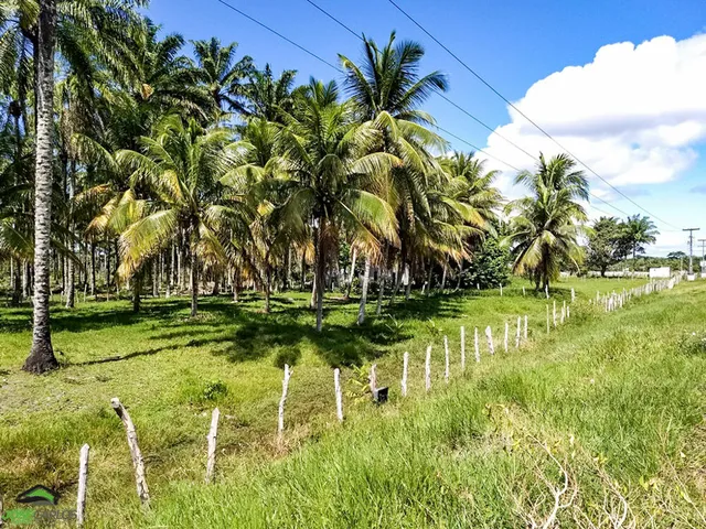 Imagem 6: Terreno à venda no bairro Guaibim - Valença/BA