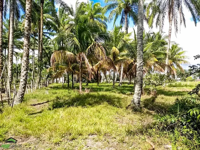 Imagem 3: Terreno à venda no bairro Guaibim - Valença/BA