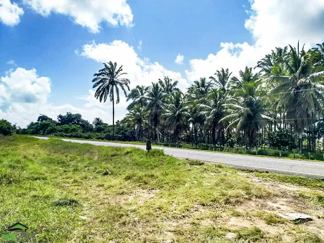 Imagem 7: Terreno à venda no bairro Guaibim - Valença/BA