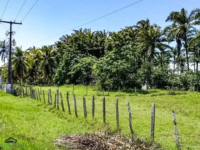 Imagem 4: Terreno à venda no bairro Guaibim - Valença/BA