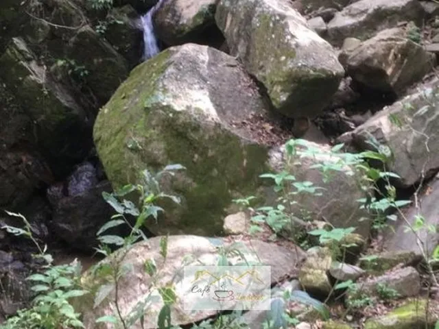 Imagem: Sítio para Venda em Centro Cambuí-MG