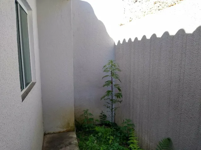 Imagem 13: Casa Cinza 2 Quartos - Tatuquara Curitiba-Pr