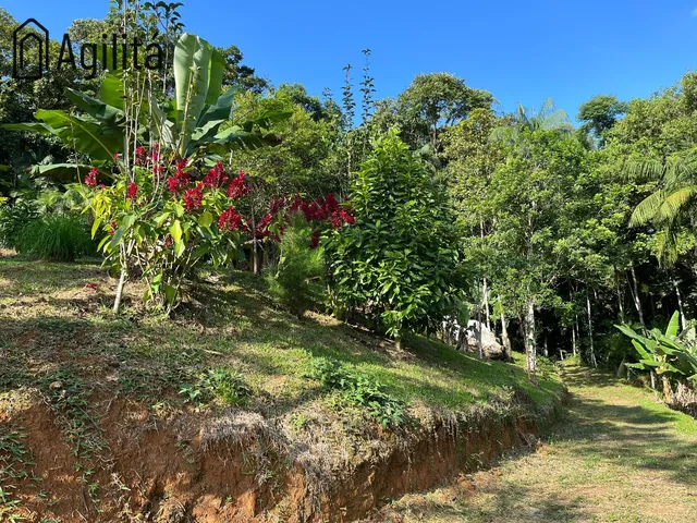 Imagem 3: Sítio À Venda em Rodeio/Sc