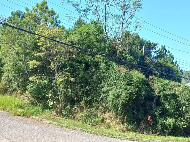 Imagem: Terreno em Loteamento no João Paulo