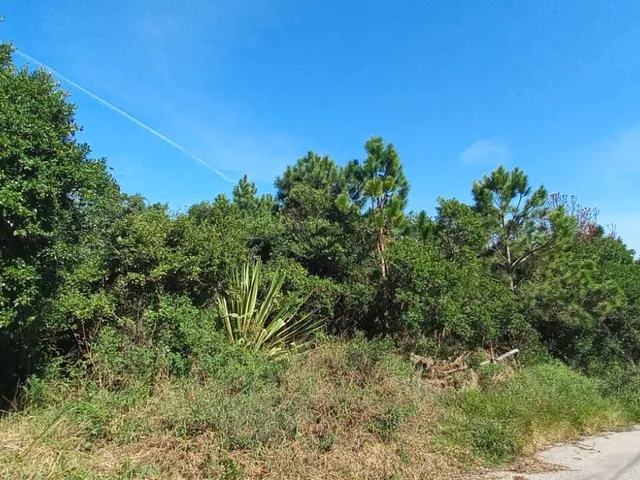 Imagem 6: Terreno em Loteamento no João Paulo