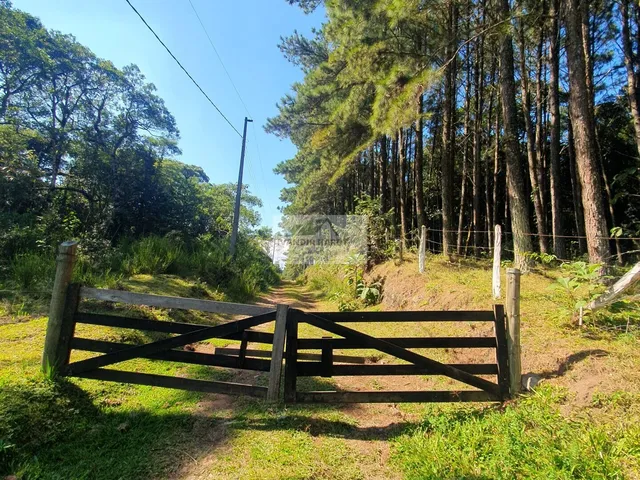 Imagem: Sítio À Venda no Bairro Centro - Campo