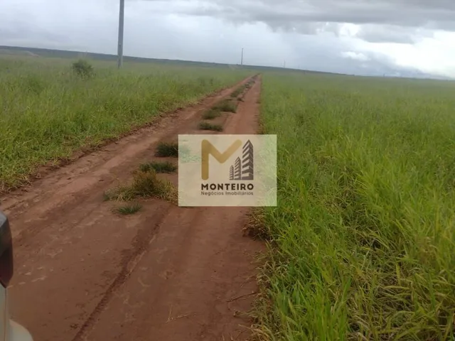 Imagem: A fazenda possui 1 Dormitório, 1 Suíte, 1 Banheiro,