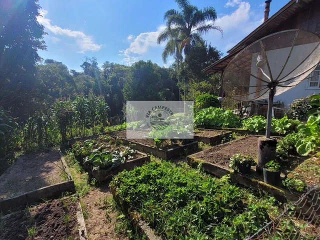 Imagem 15: Sítio com Ampla Casa com 7 Quartos, Mais Casa de Caseiro, Rancho, Aceita Permuta