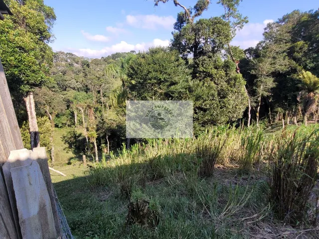Imagem 14: Sítio com Ampla Casa com 7 Quartos, Mais Casa de Caseiro, Rancho, Aceita Permuta