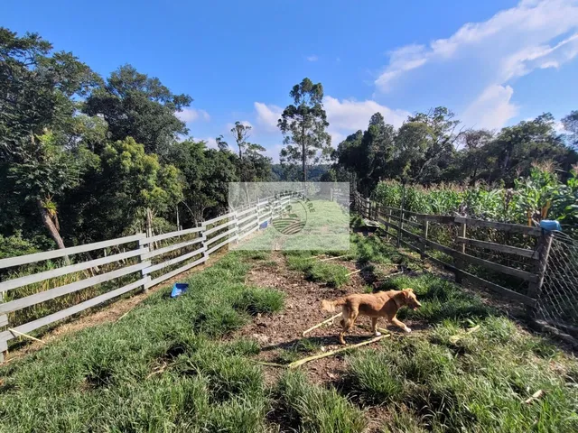 Imagem 3: Sítio com Ampla Casa com 7 Quartos, Mais Casa de Caseiro, Rancho, Aceita Permuta
