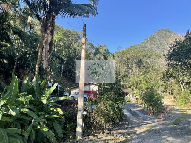 Imagem 8: Sítio com 6.150 M² e Uma Residência com 3 Dormitórios, Final da Estrada Mildau