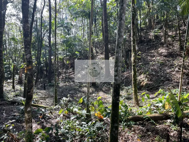 Imagem 7: Sítio com 6.150 M² e Uma Residência com 3 Dormitórios, Final da Estrada Mildau