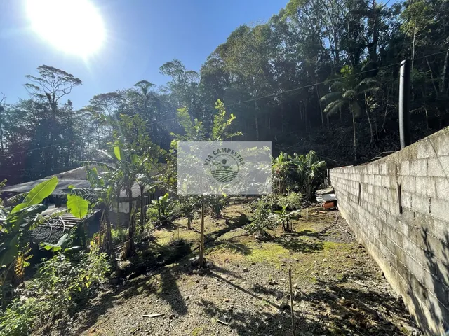 Imagem 16: Sítio com 6.150 M² e Uma Residência com 3 Dormitórios, Final da Estrada Mildau