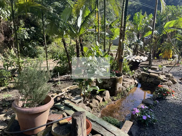 Imagem 12: Sítio com 6.150 M² e Uma Residência com 3 Dormitórios, Final da Estrada Mildau