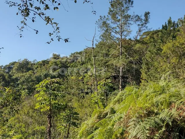 Imagem: TERRENO COM UMA ÁREA DE 1.226m² EM CONDOMÍNIO